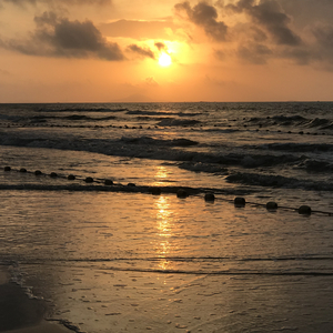 哥哥和妹妹做爱动漫免费观看网站
